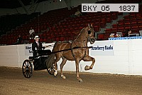 bky_05__1837 proof