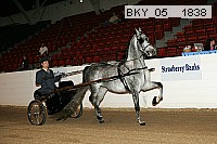 bky_05__1838 proof