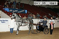bky_05__1841 proof