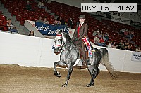 bky_05__1852 proof