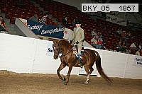 bky_05__1857 proof