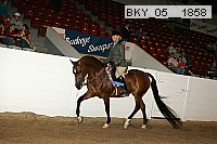 bky_05__1858 proof