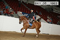 bky_05__1863 proof