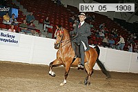 bky_05__1908 proof