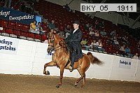 bky_05__1911 proof