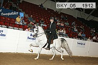bky_05__1912 proof