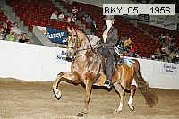 bky_05__1956 proof