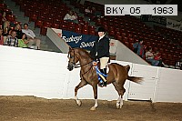 bky_05__1963 proof