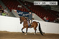 bky_05__1966 proof