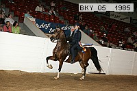 bky_05__1985 proof