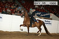 bky_05__1986 proof