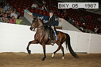 bky_05__1987 proof