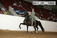 bky_05__1988 proof