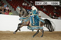 bky_05__1996 proof