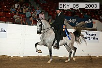 bky_05__2003 proof