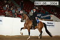 bky_05__2004 proof
