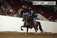 bky_05__2006 proof
