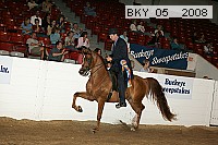 bky_05__2008 proof