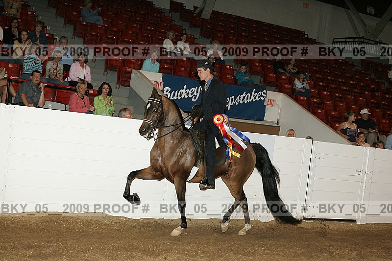 Proof bky_05__2009