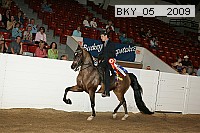 bky_05__2009 proof