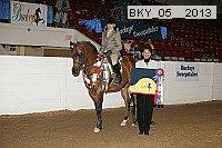 bky_05__2013 proof