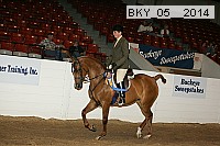 bky_05__2014 proof