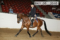 bky_05__2015 proof