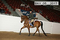 bky_05__2017 proof