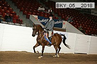 bky_05__2018 proof