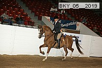 bky_05__2019 proof
