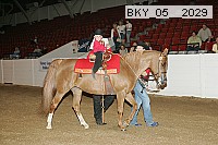 bky_05__2029 proof