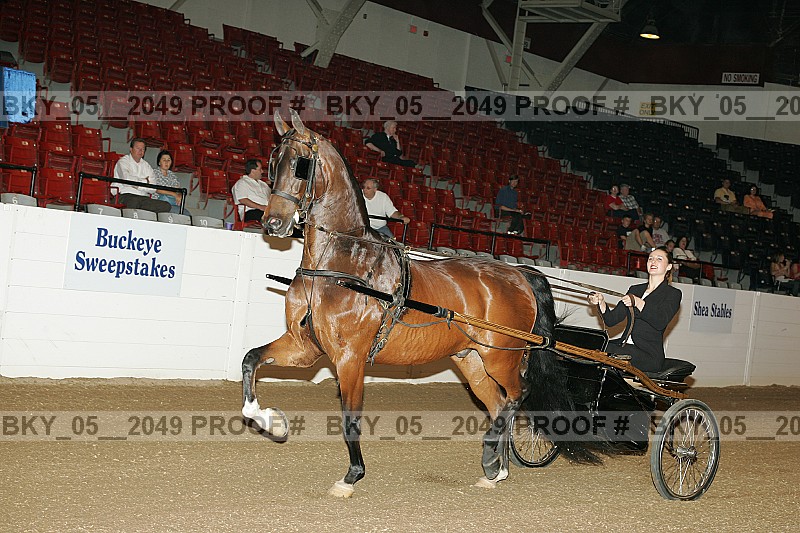 Proof bky_05__2049