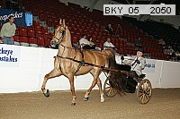 bky_05__2050 proof