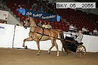 bky_05__2055 proof