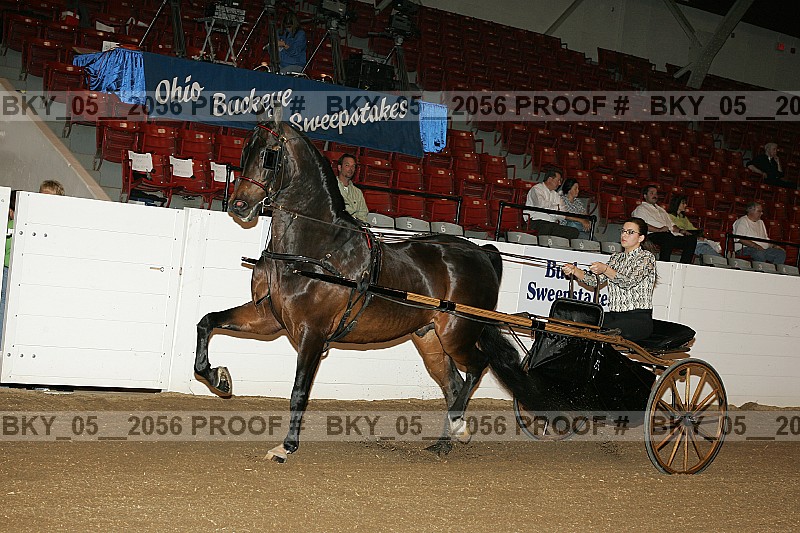 Proof bky_05__2056