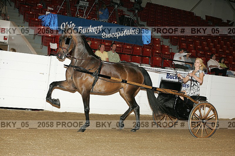 Proof bky_05__2058