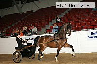 bky_05__2060 proof