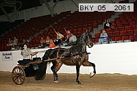 bky_05__2061 proof