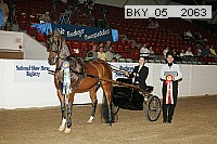 bky_05__2063 proof