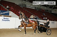 bky_05__2065 proof