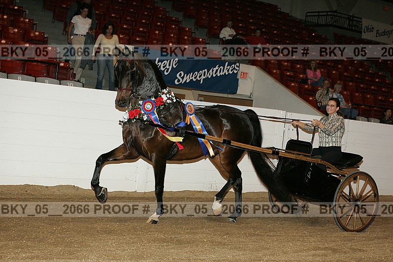 Proof bky_05__2066