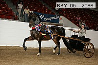 bky_05__2066 proof