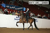 bky_05__2069 proof