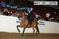 bky_05__2070 proof