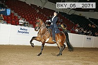 bky_05__2071 proof