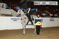 bky_05__2073 proof
