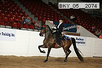 bky_05__2074 proof