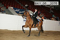 bky_05__2075 proof