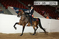 bky_05__2076 proof