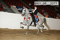 bky_05__2077 proof